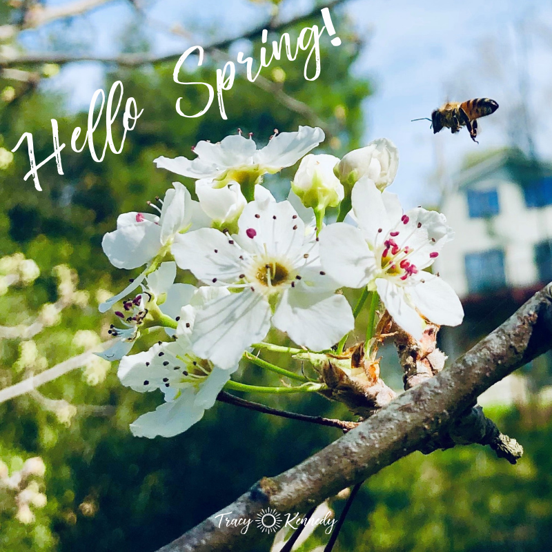 Hello Spring! Let's get Growing.