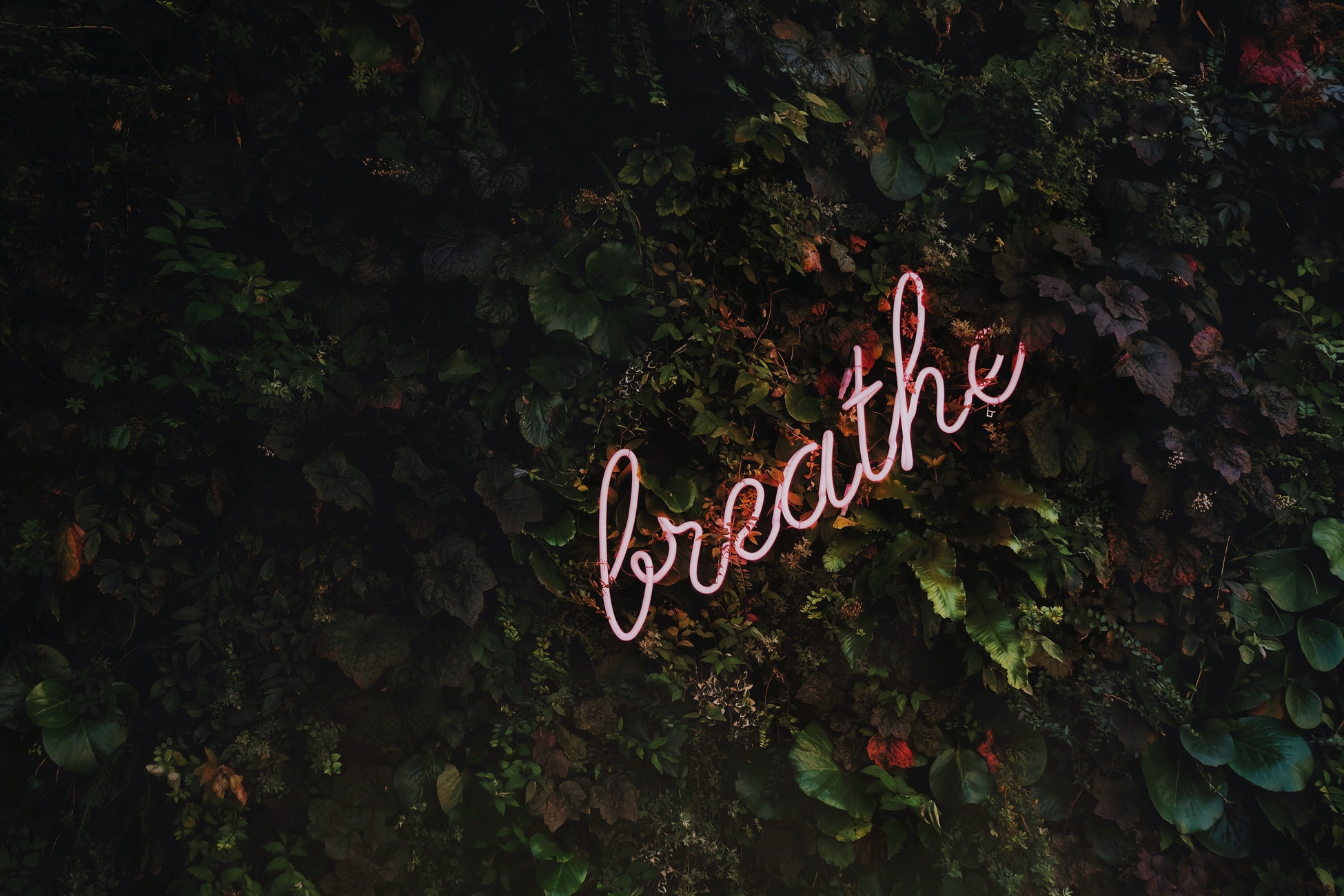 Self-Care Habits for a Strong and Healthy Mind, Body and Spirit