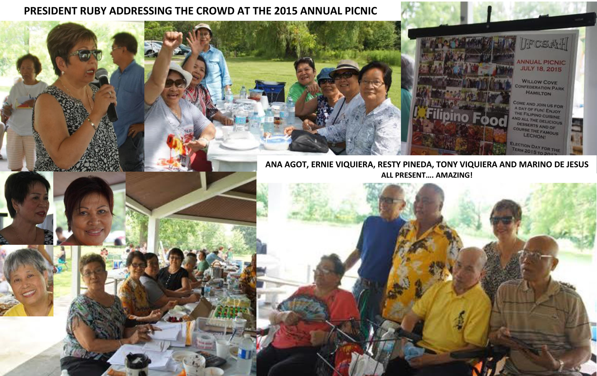 2015 Annual picnic.jpg