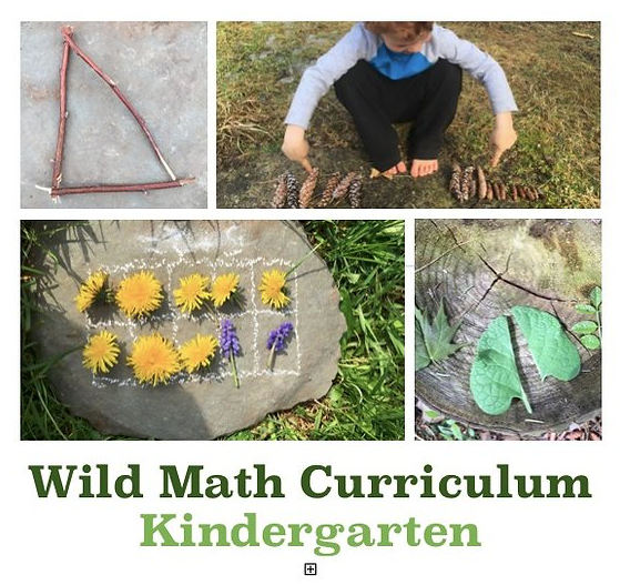 Wild Math Kindergarten