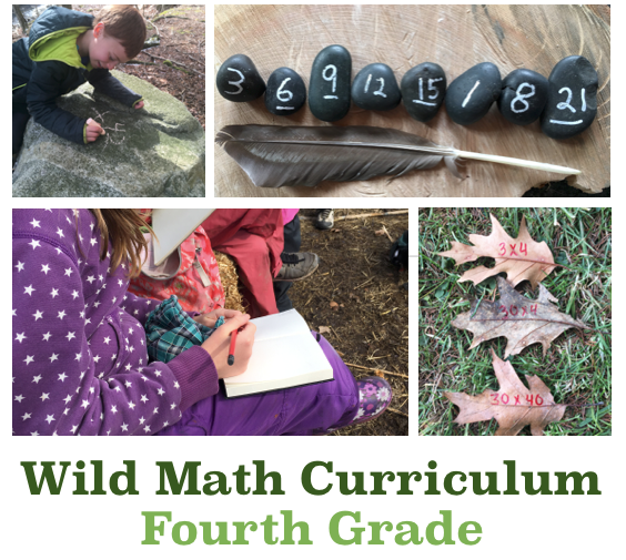 Wild Math Fourth Grade