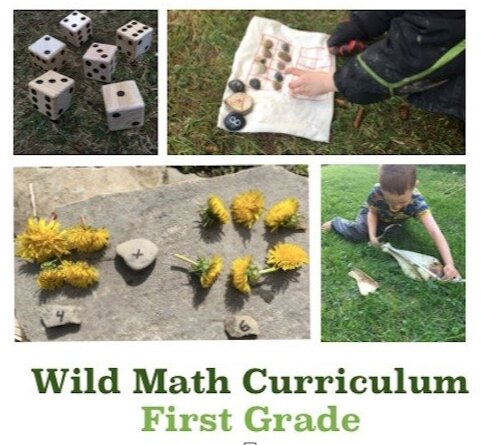 Wild Math First Grade