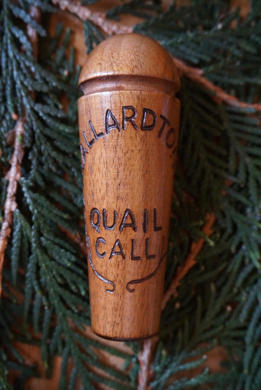 Quail Bird Call 