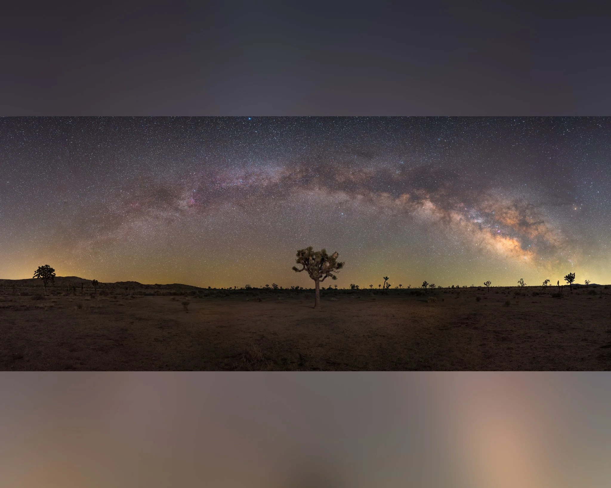 DSC_5141-QueensValleyJTreePano-Edit-ForIG.jpg