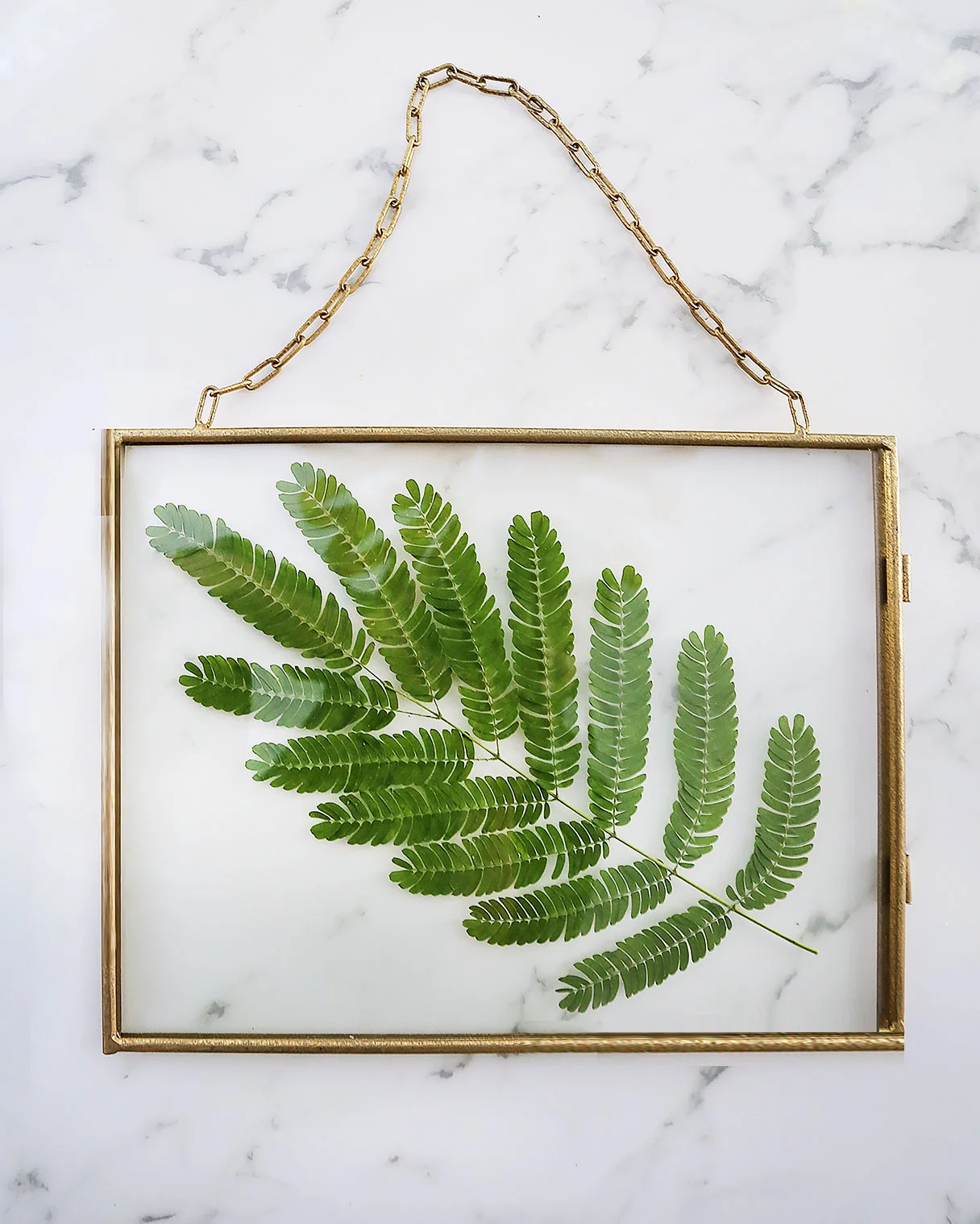 pressed-plant-diy-3-blog.jpg