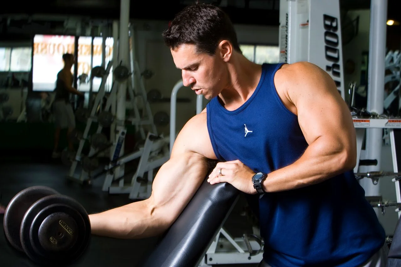 Muscle