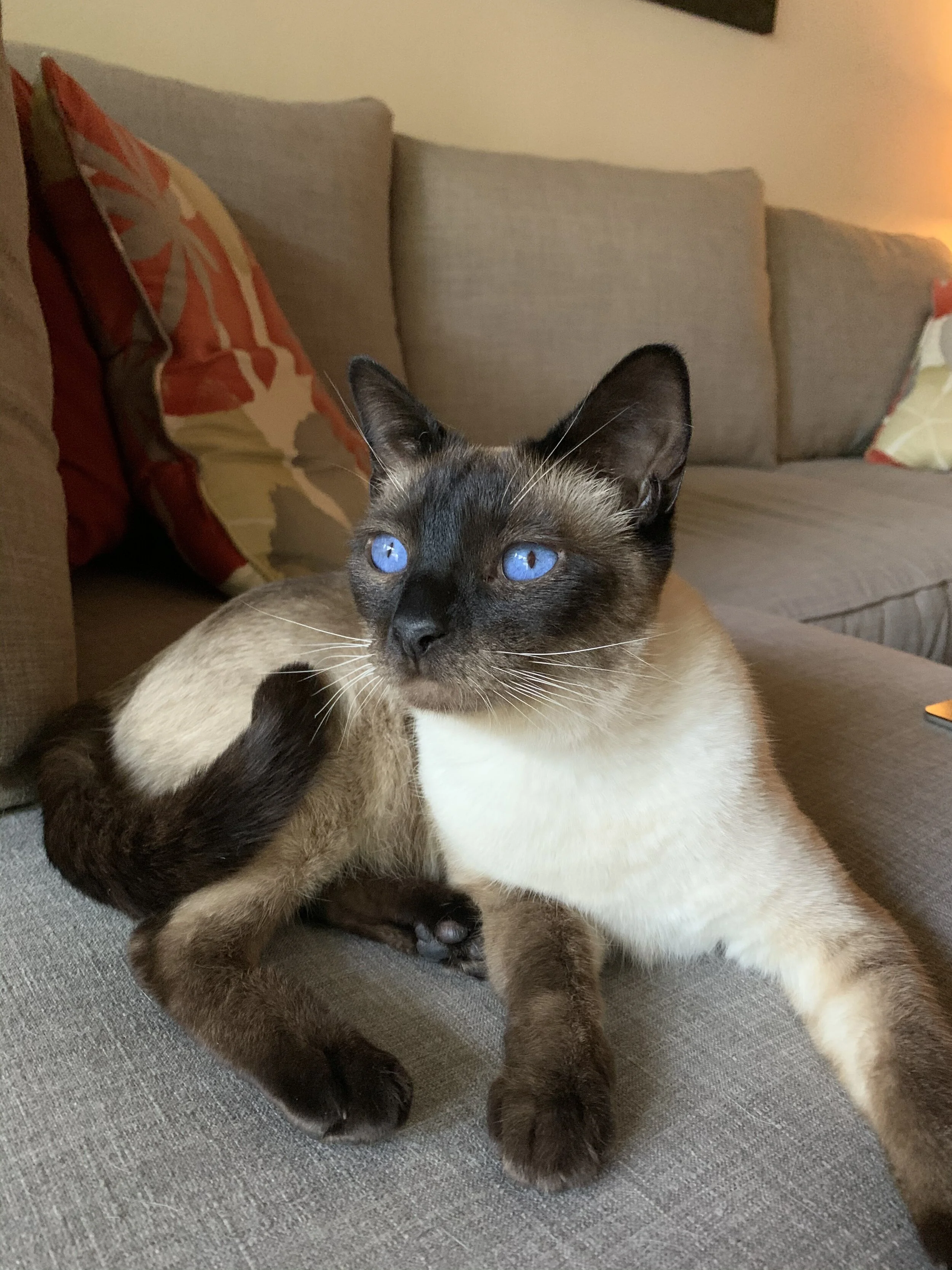 The Weekly EDGE : Sunday March 5th, 2020  - The Franco Fit Exercise Program :-)