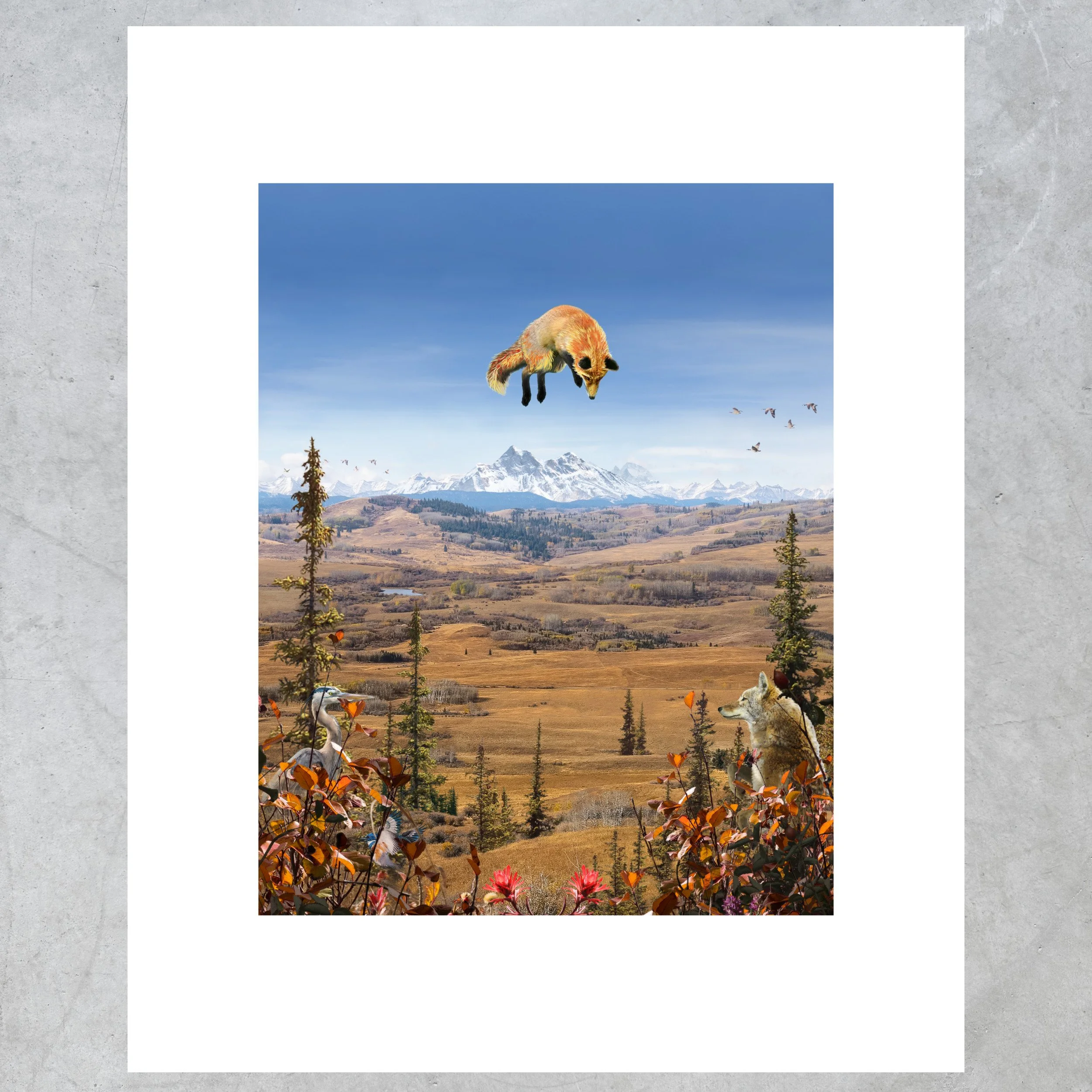 16 x 20 - 1.jpg
