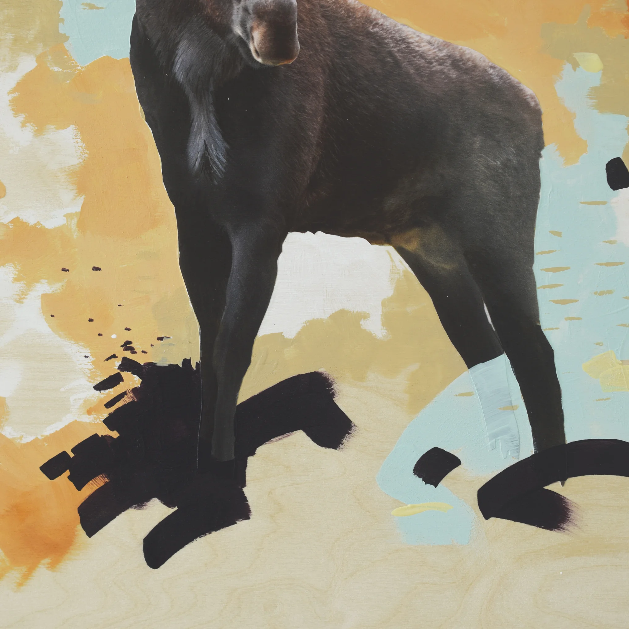 moose 1.jpg