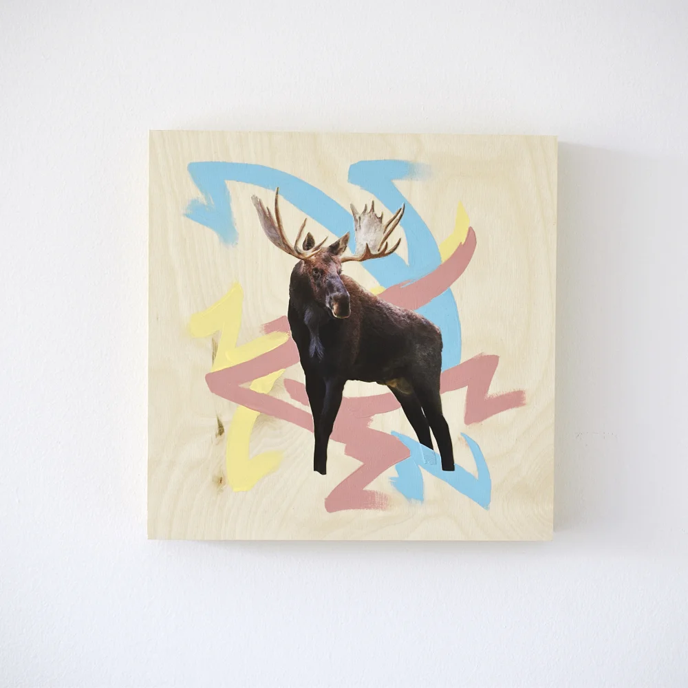 moose 1c.jpg