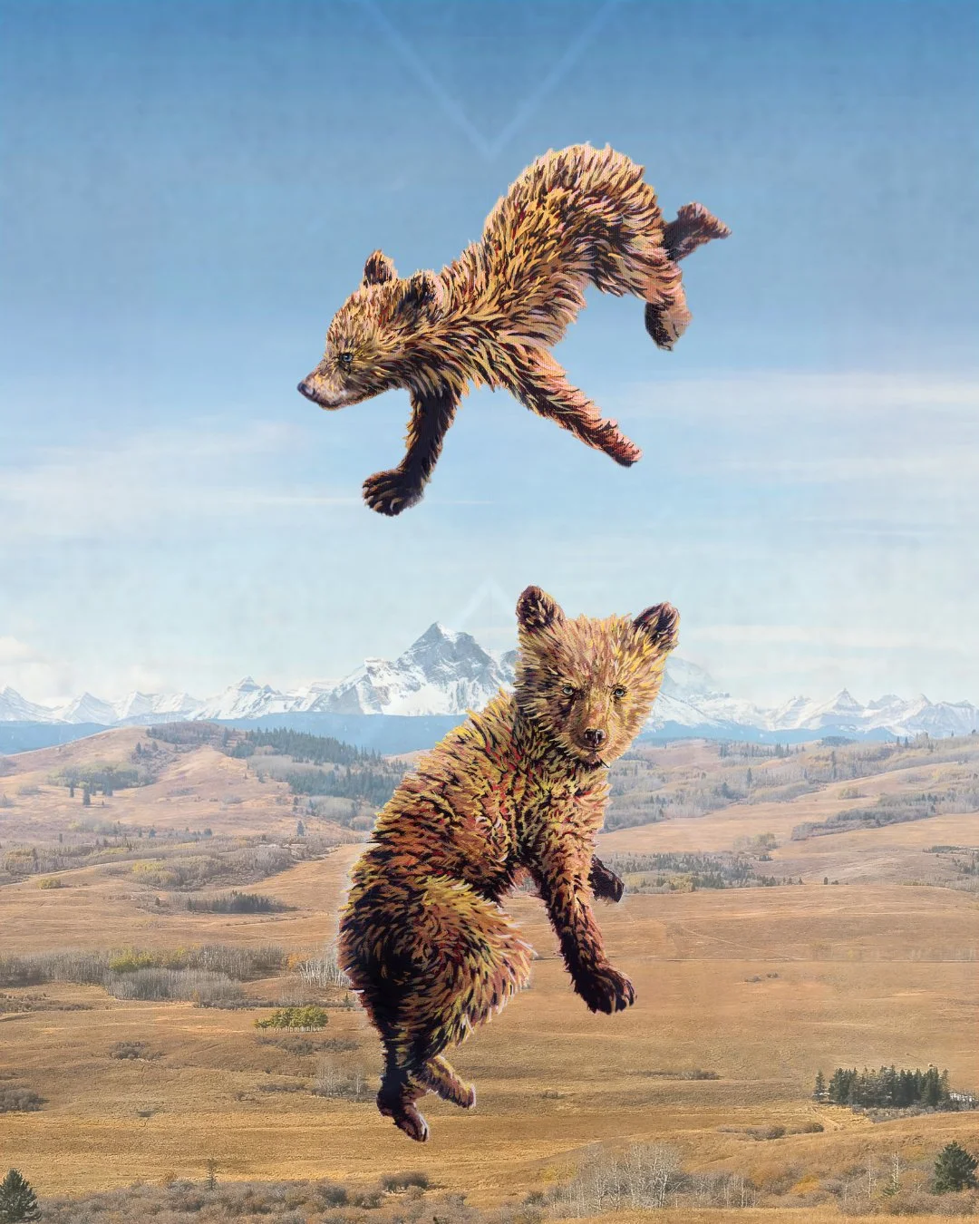 griz detail 2.jpg