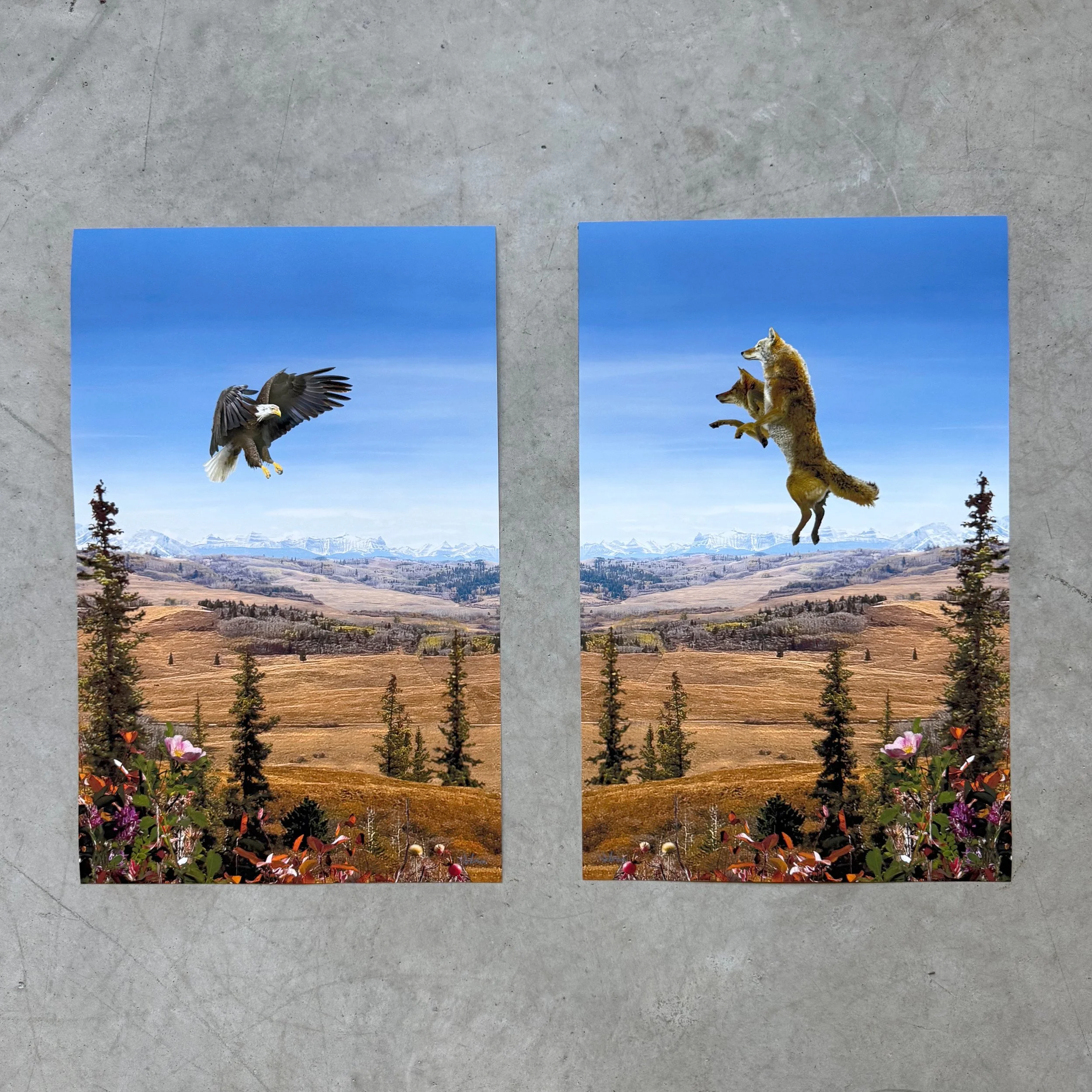 11 x 17 both - 1.jpg