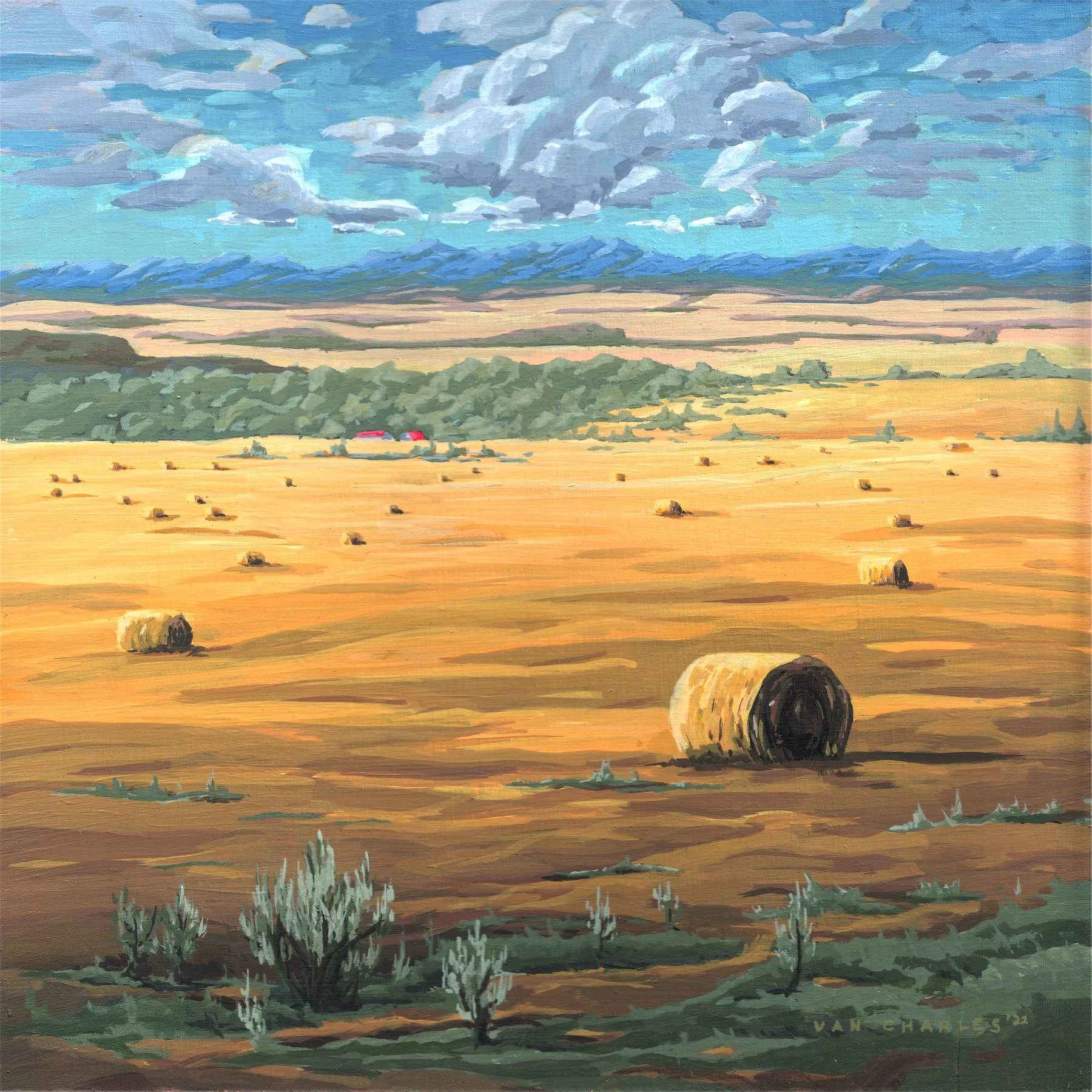 store prairie.jpg