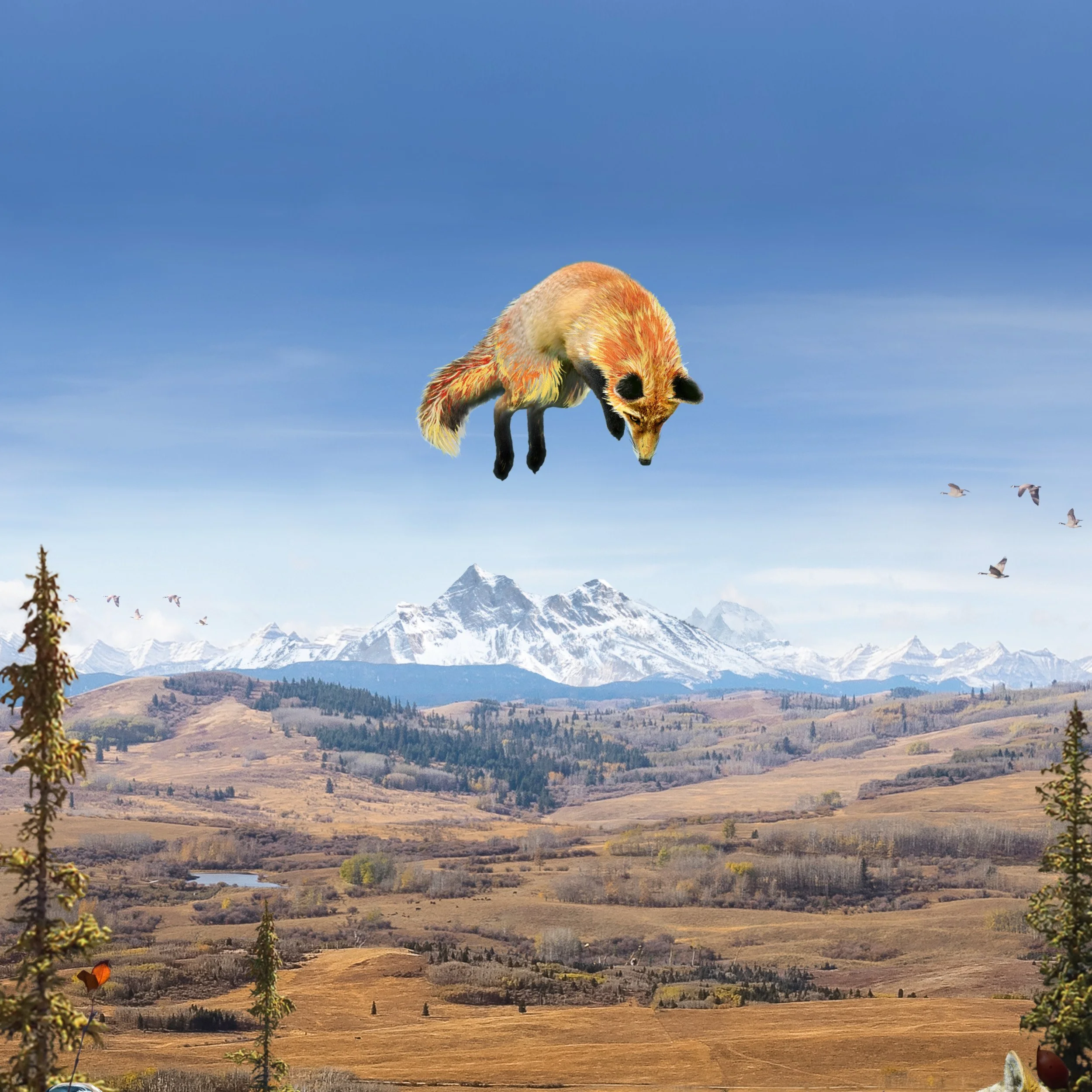 16 x 20 - 2.jpg