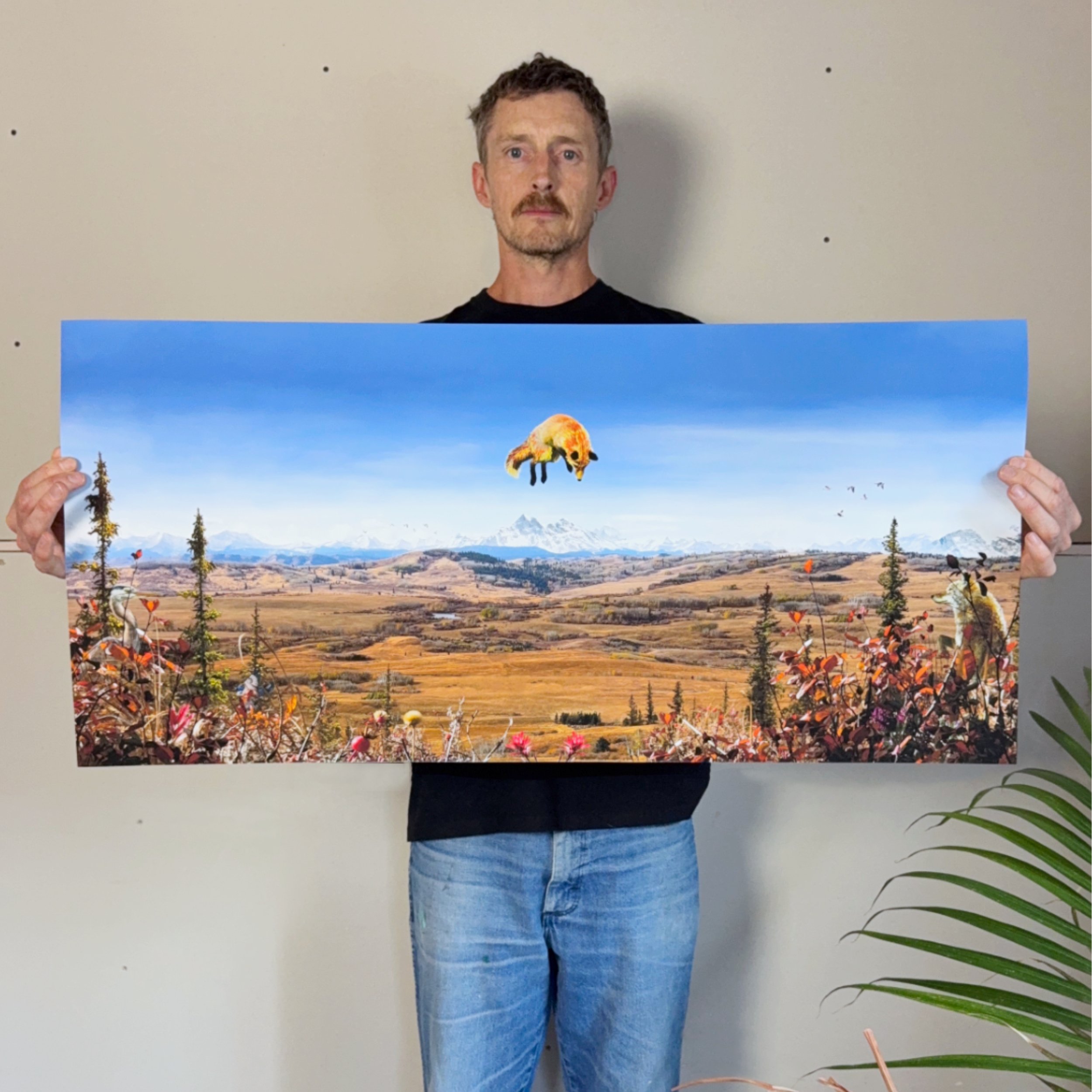 36 x 17 - 5.jpg