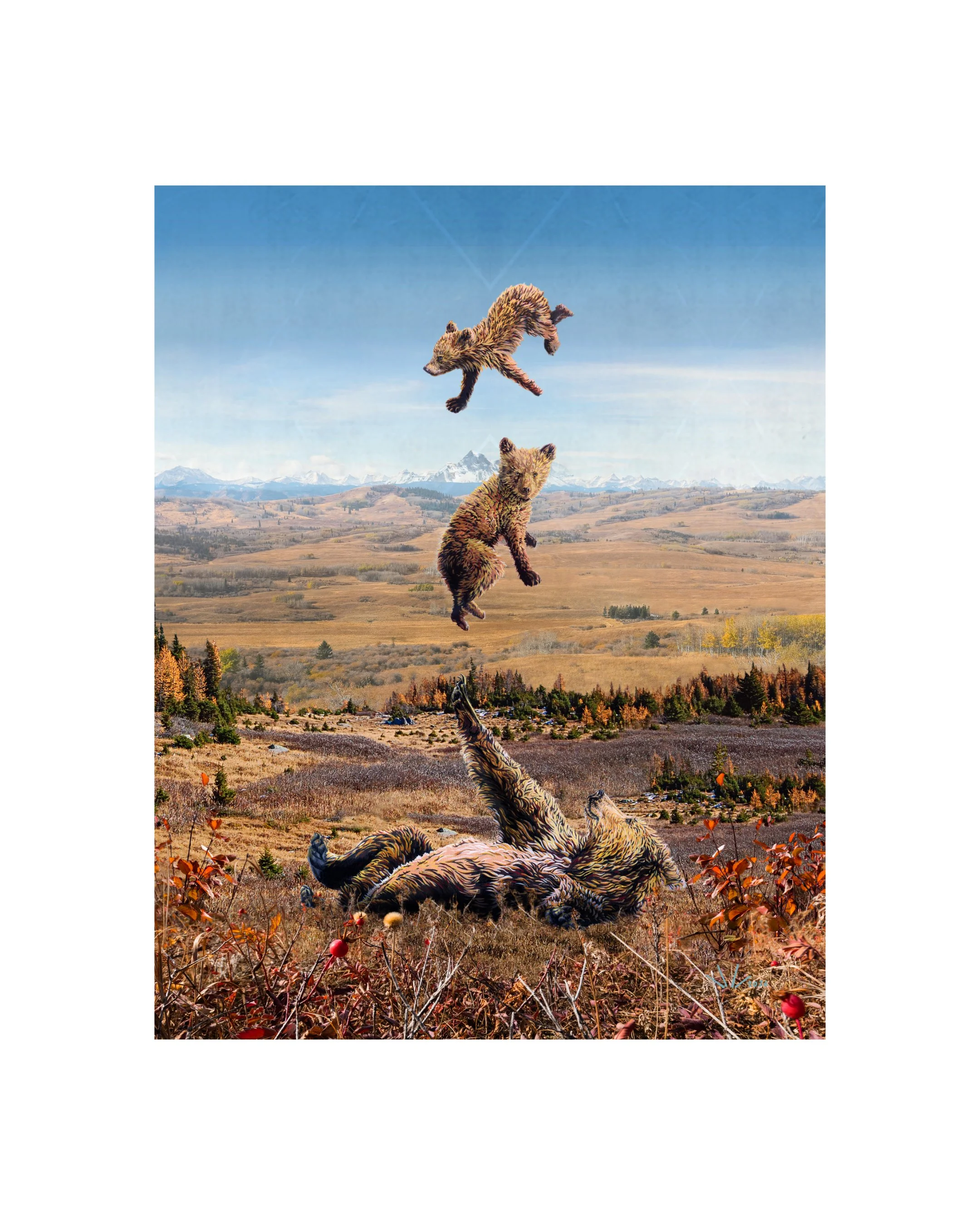 Rocky Mtn Archive release Jun 17 - grizzlies.jpg