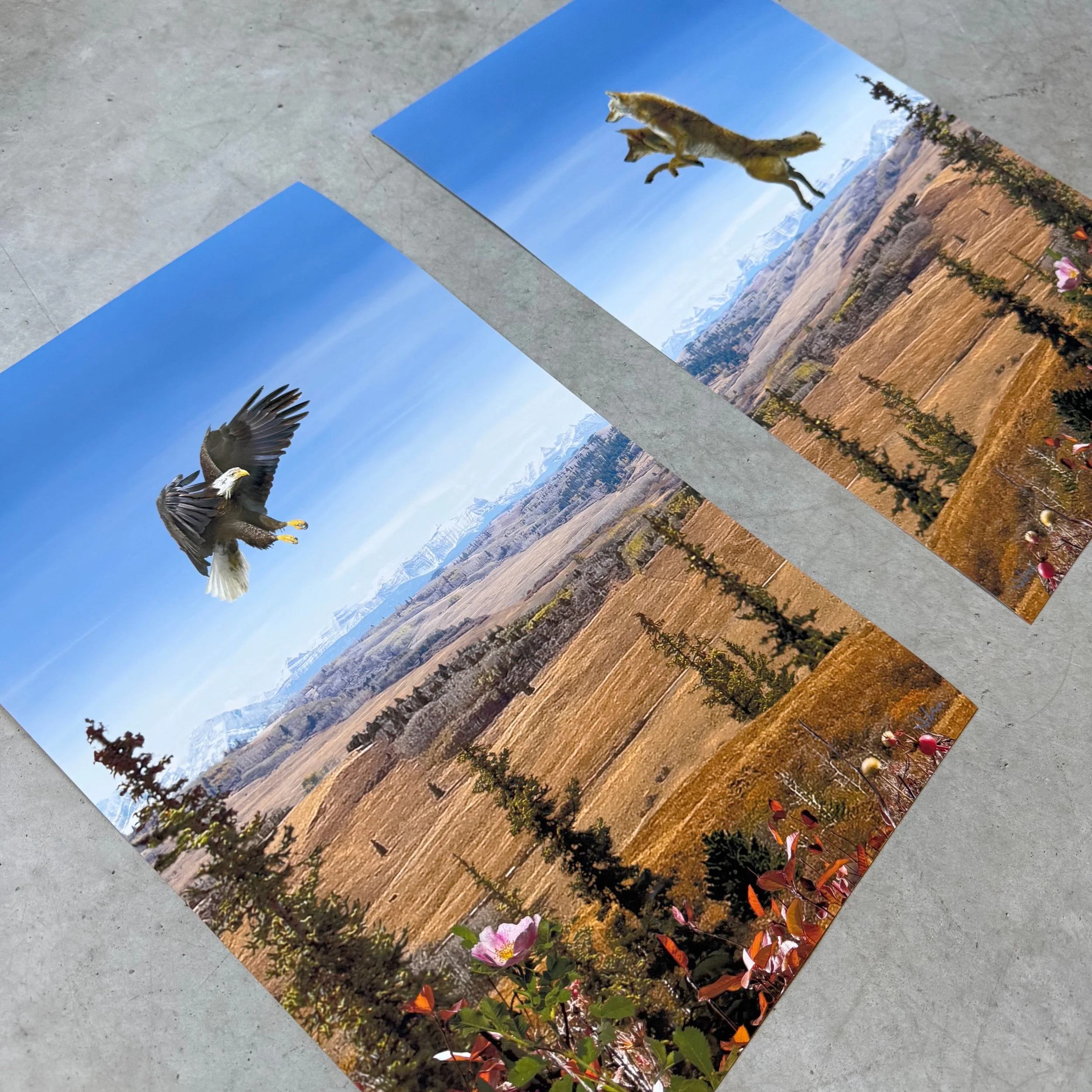 11 x 17 both - 2.jpg