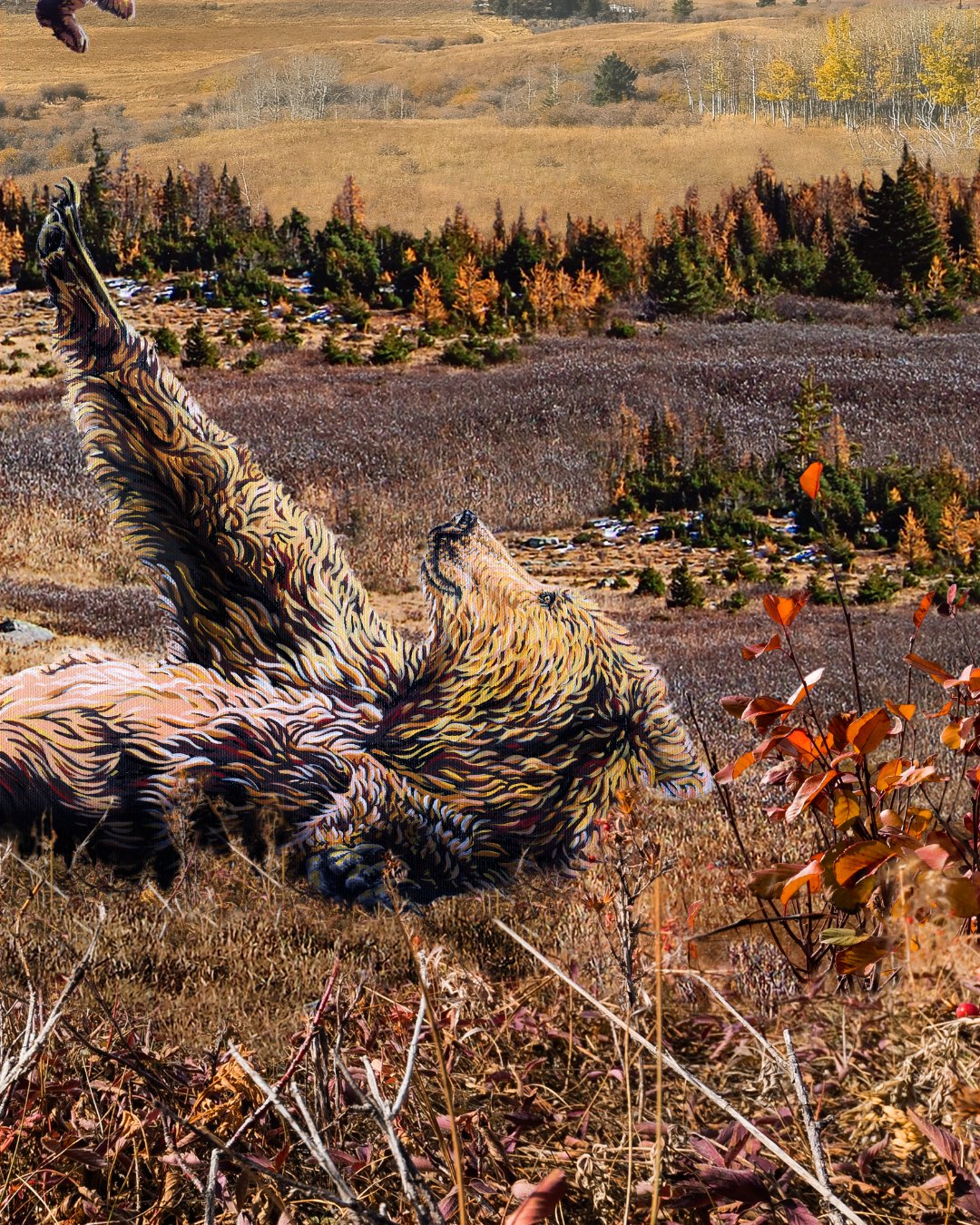 griz detail 1.jpg