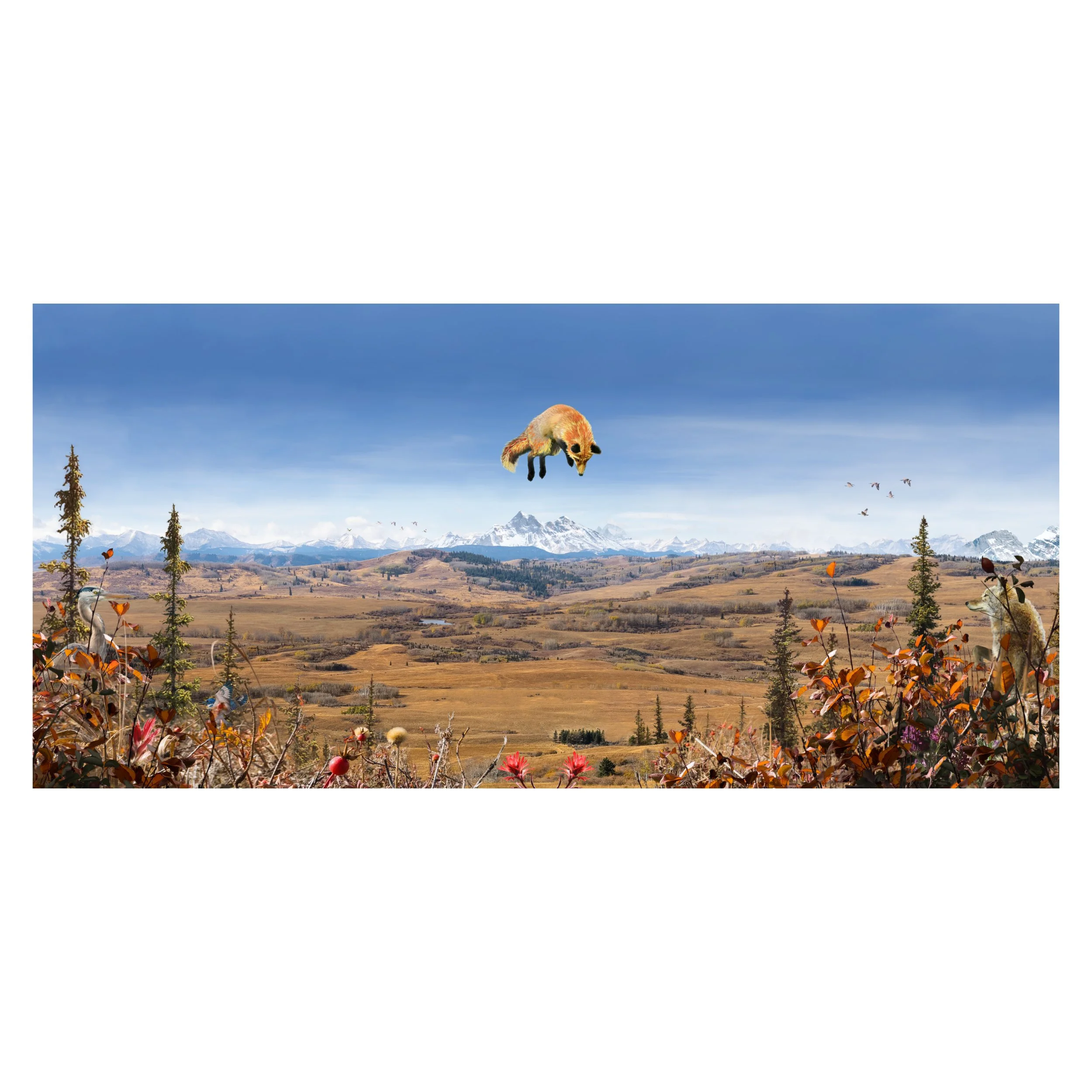 36 x 17 - 4.jpg