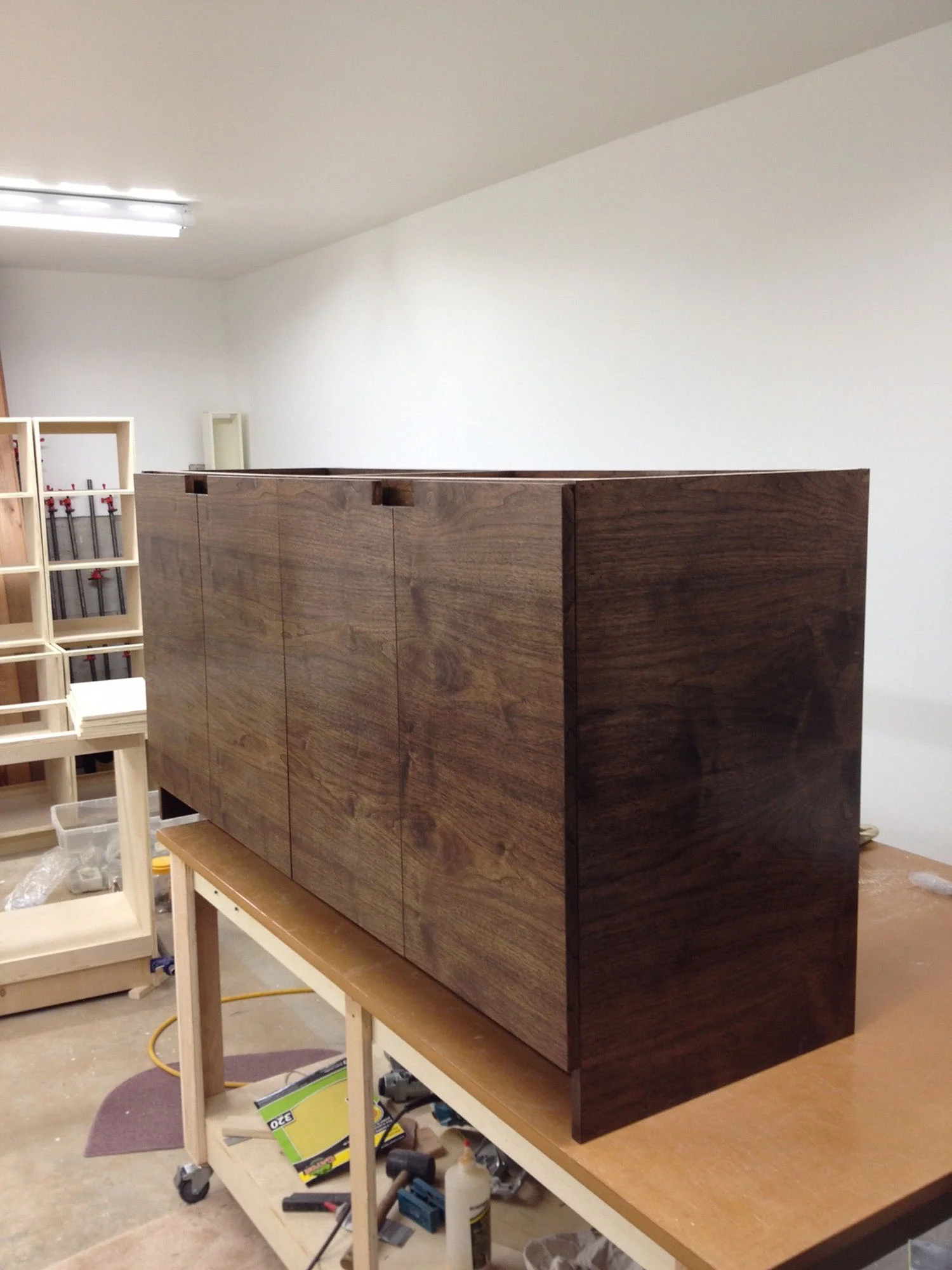 cabinets13.jpg