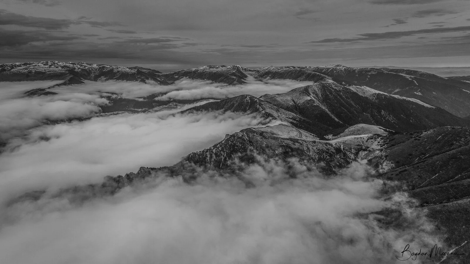 _MG_0446.JPG