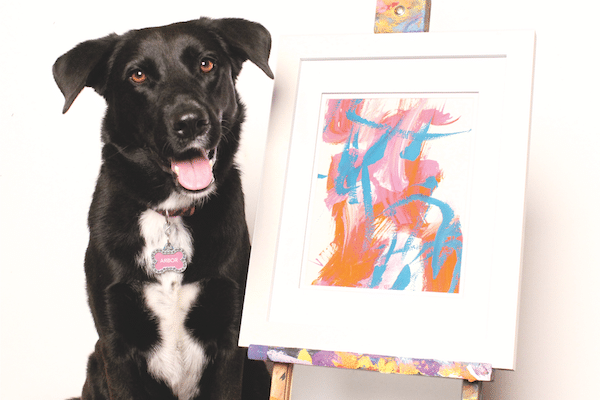 Painting Pawty