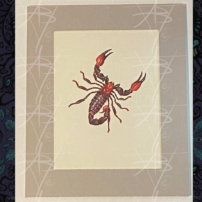 Venom-matted-800px.png