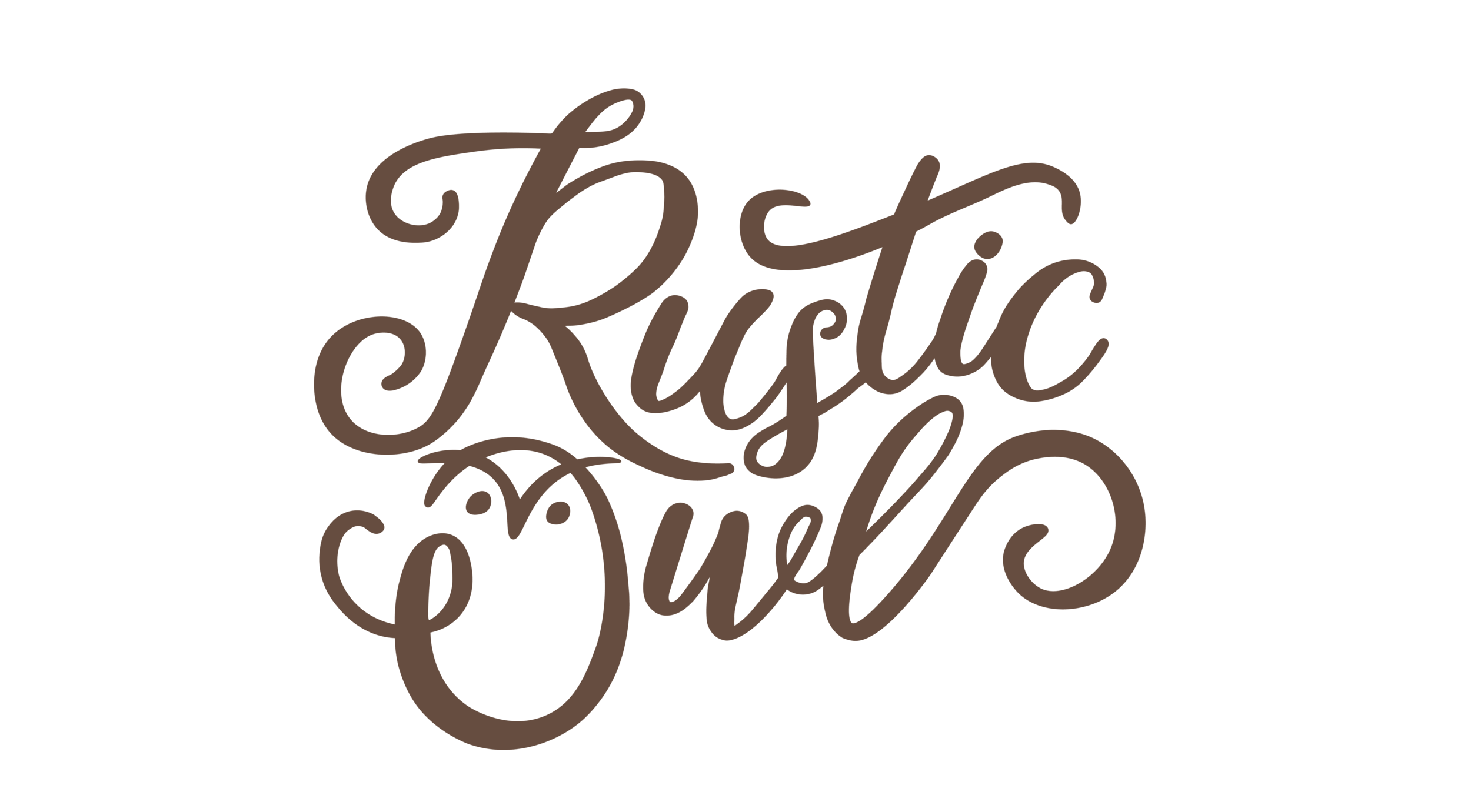 Rustic Owl Of Rockville Indiana Branding And Logo Court Marie