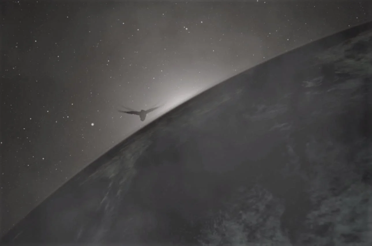 The Earth curvature - bird copy 2.jpg