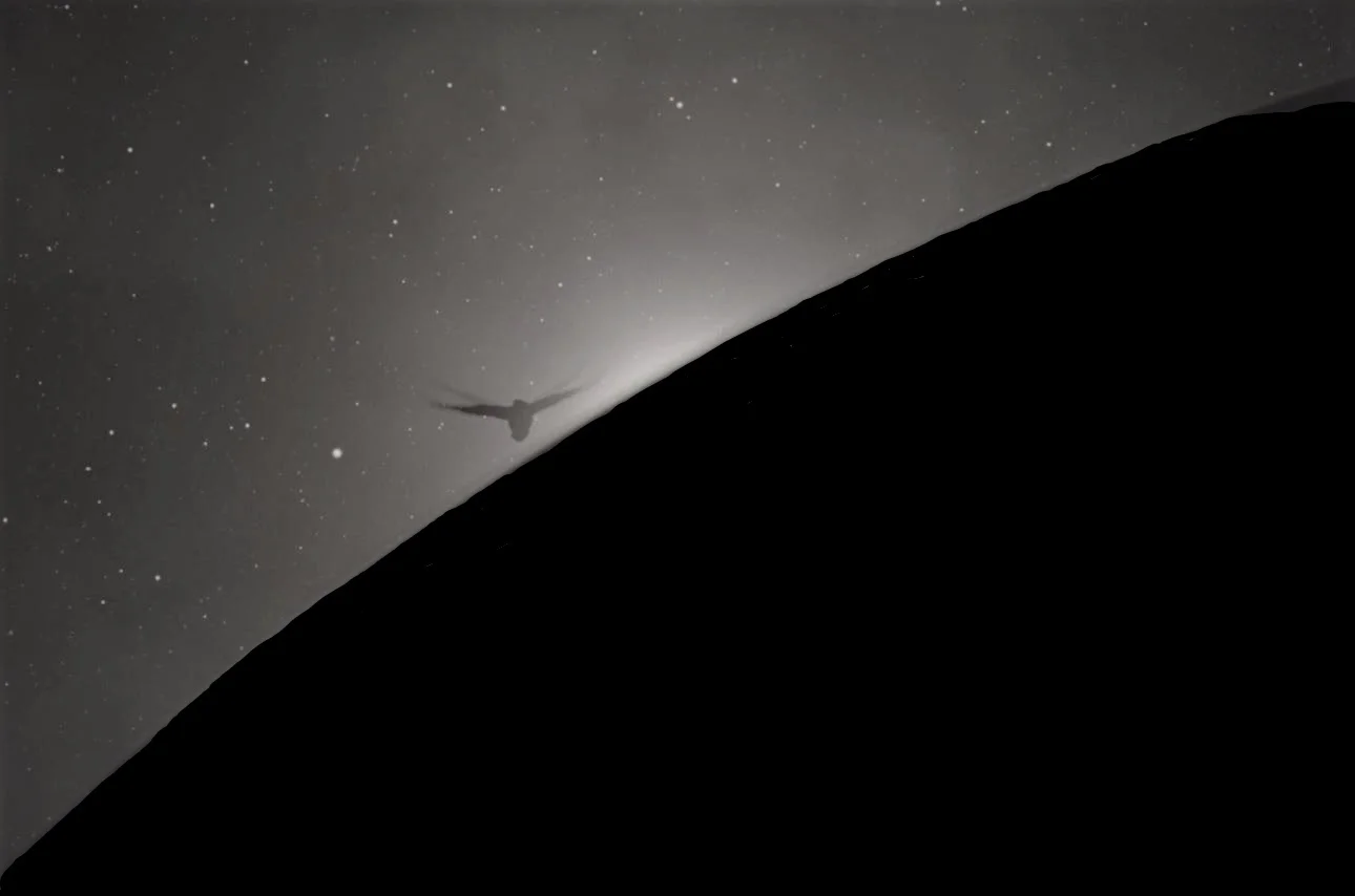InkedThe Earth curvature - bird copy 2_LI.jpg
