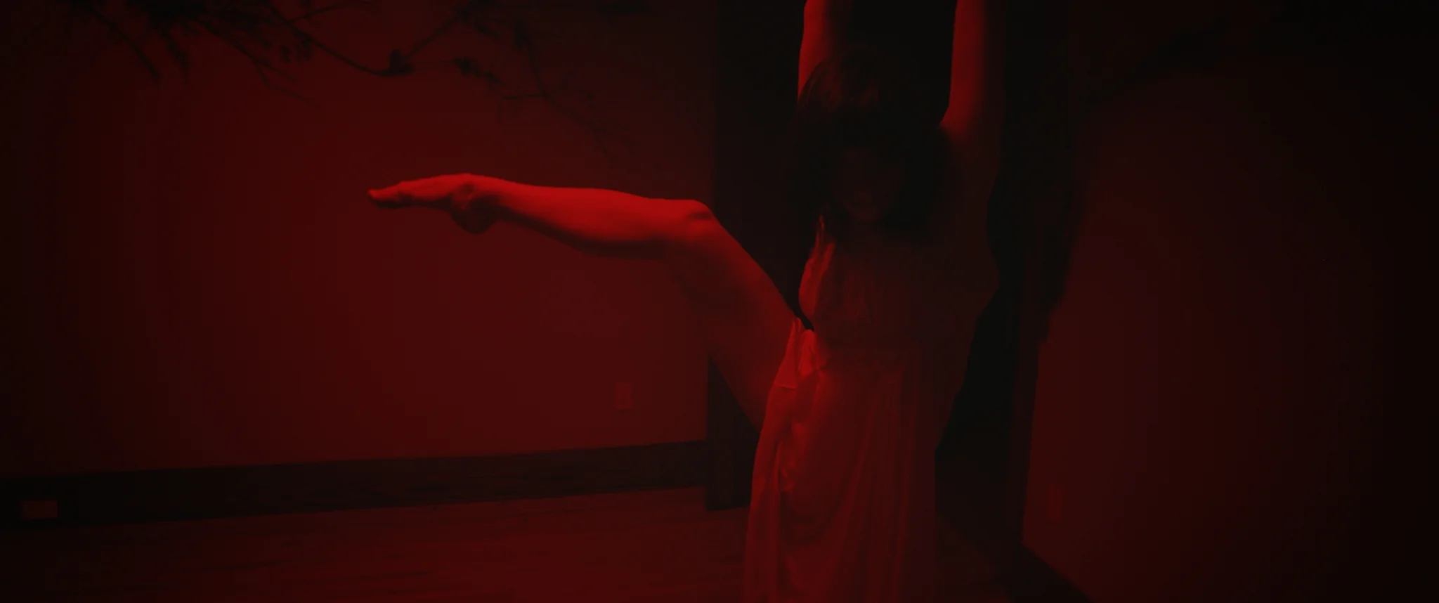 Untitled_1.5.1.jpg