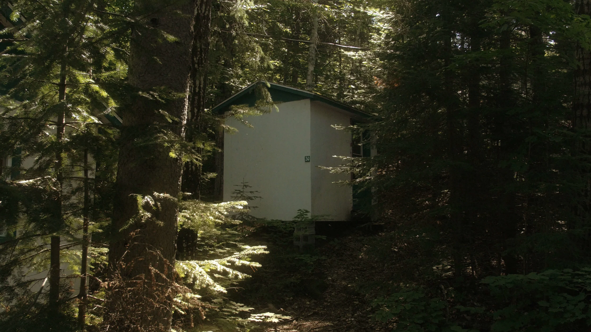 CAMP MUSIC 36.jpg