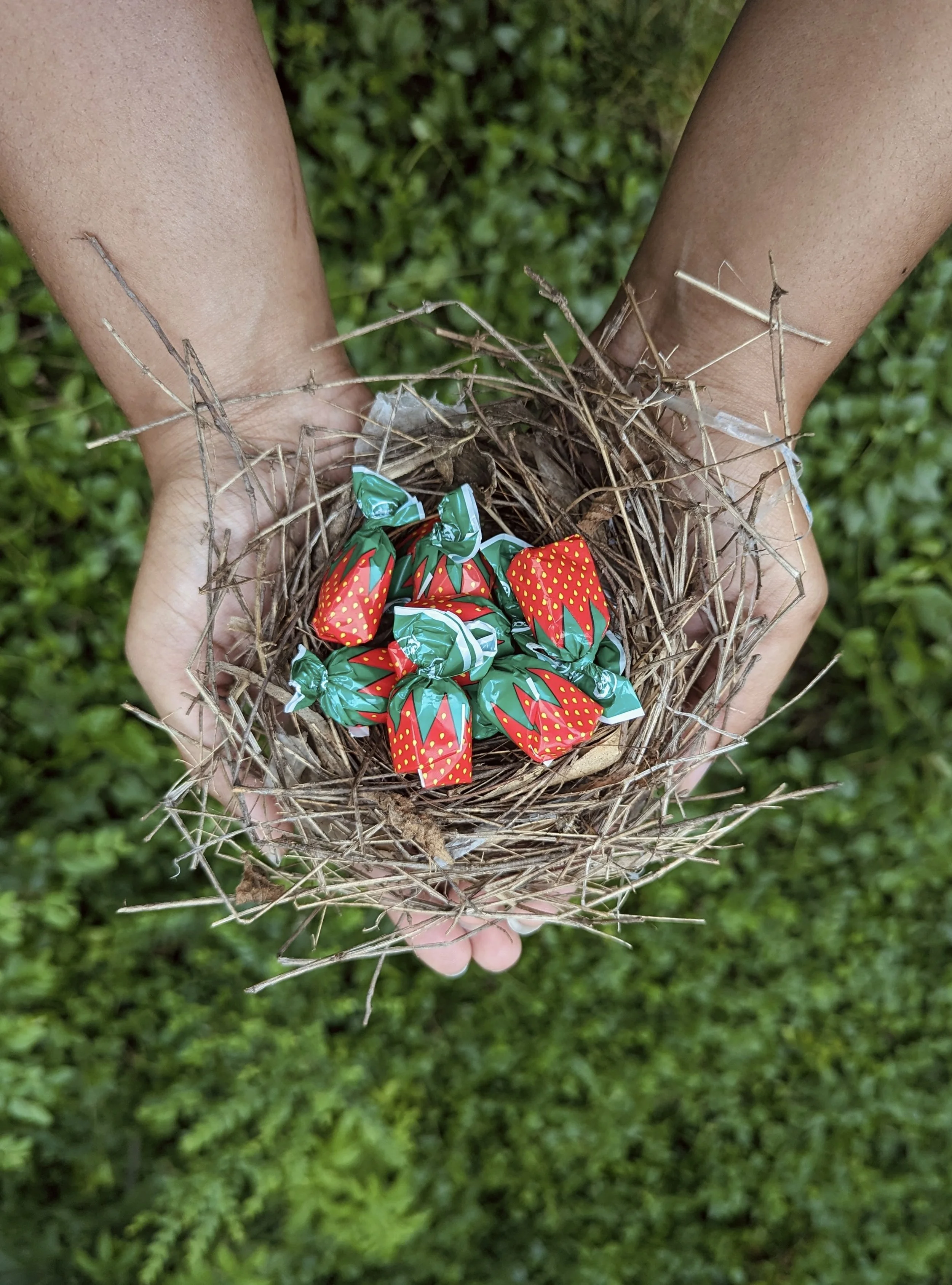 Jasmine Jones: Candied Garden