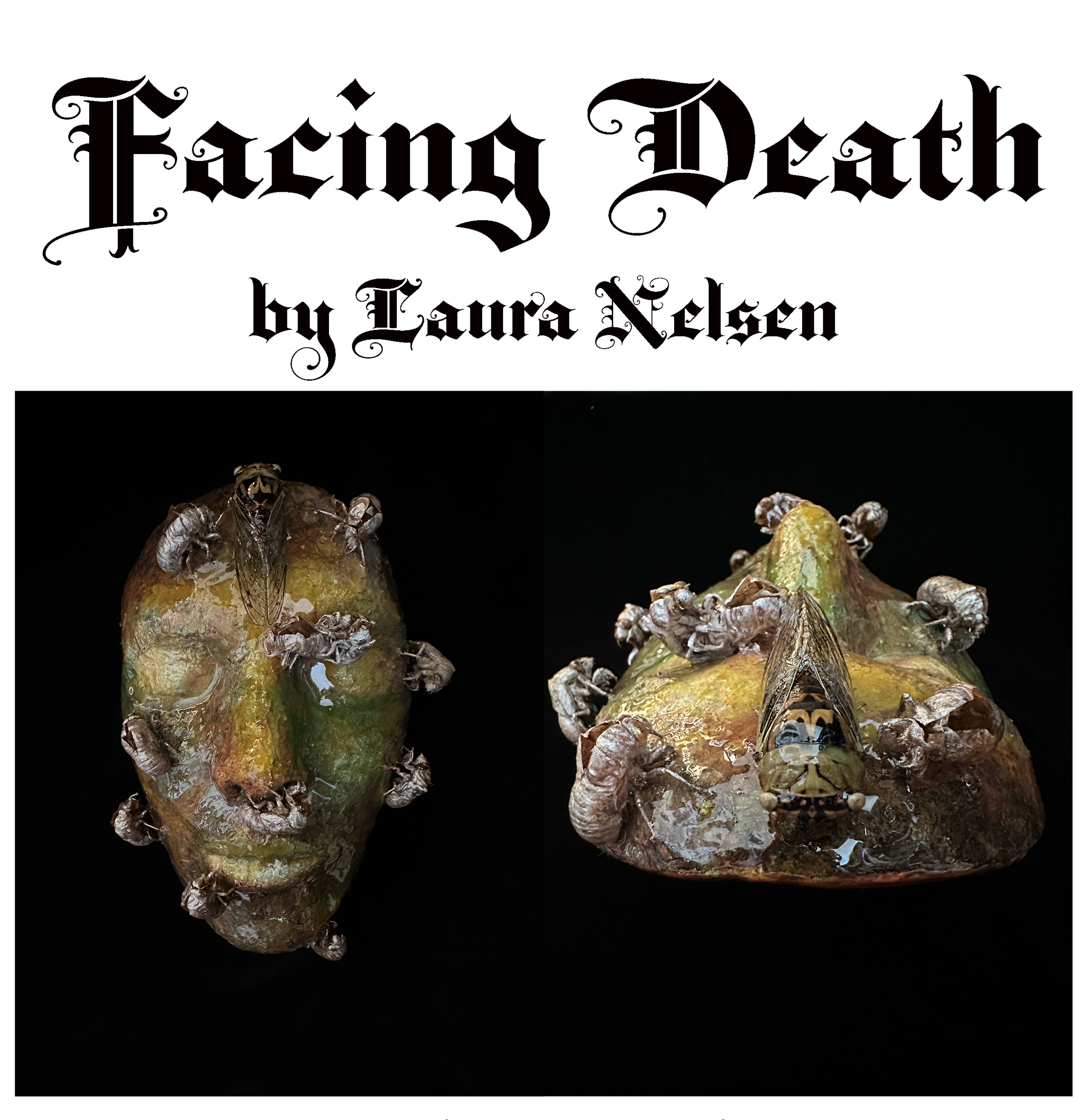 'Facing Death' by Laura Nelsen