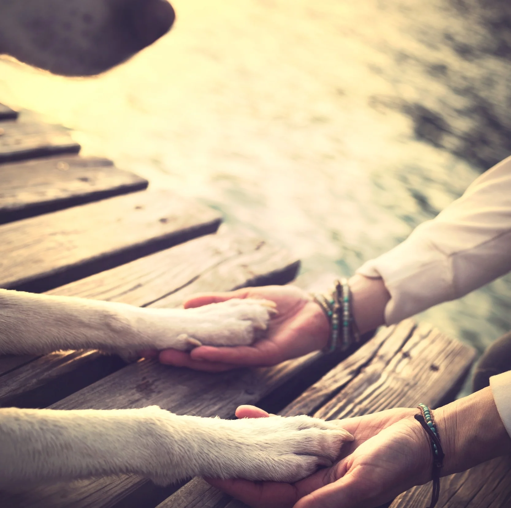 iStock-522391334.jpg