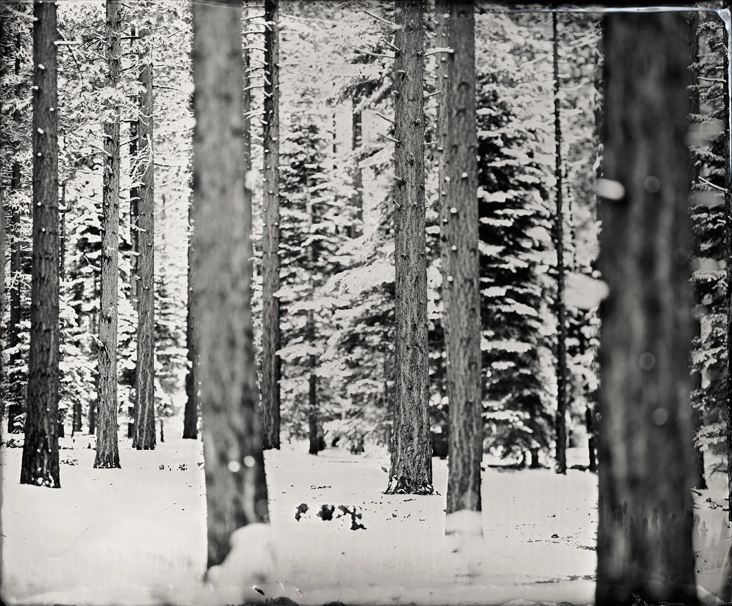 Ian RuhterIan Ruhter | Silver & Light