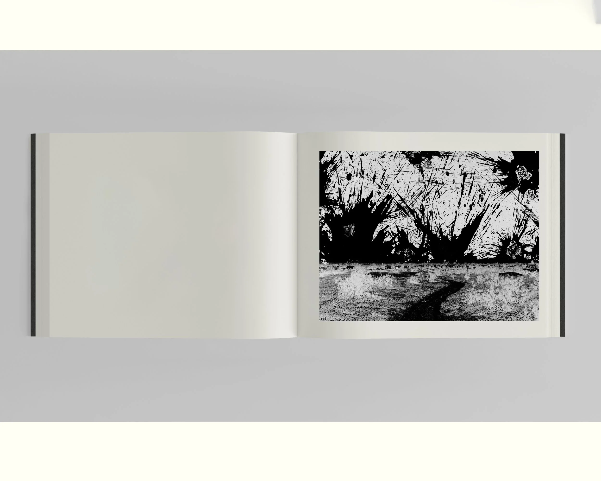 00. 1READ ME FIRST–IR Slab City Presentation 01 (dragged) 6.jpg (Copy)