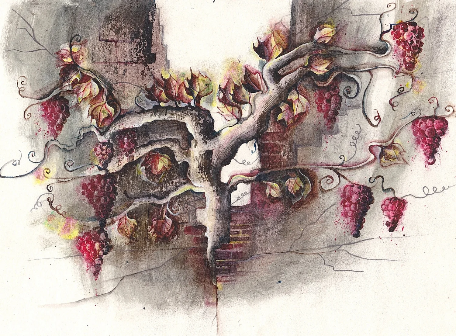 The Vine