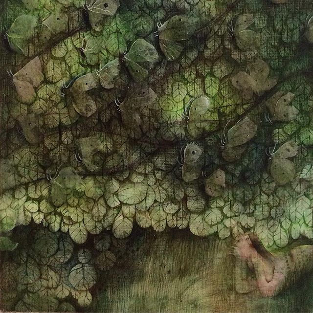 ..........................................🐛Butterflies .
🐛Detail .
🐛Dreaming beyond bugs .
🐛this is available in Churchgate gallery Porlock. .
.
.
.
.
#Art #illustration #instaart #buyart #artistsoninstagram #artist #painting #butterflies #whimsi