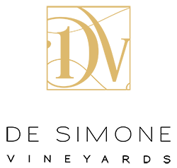 DSV_Logo_FINAL_2.png