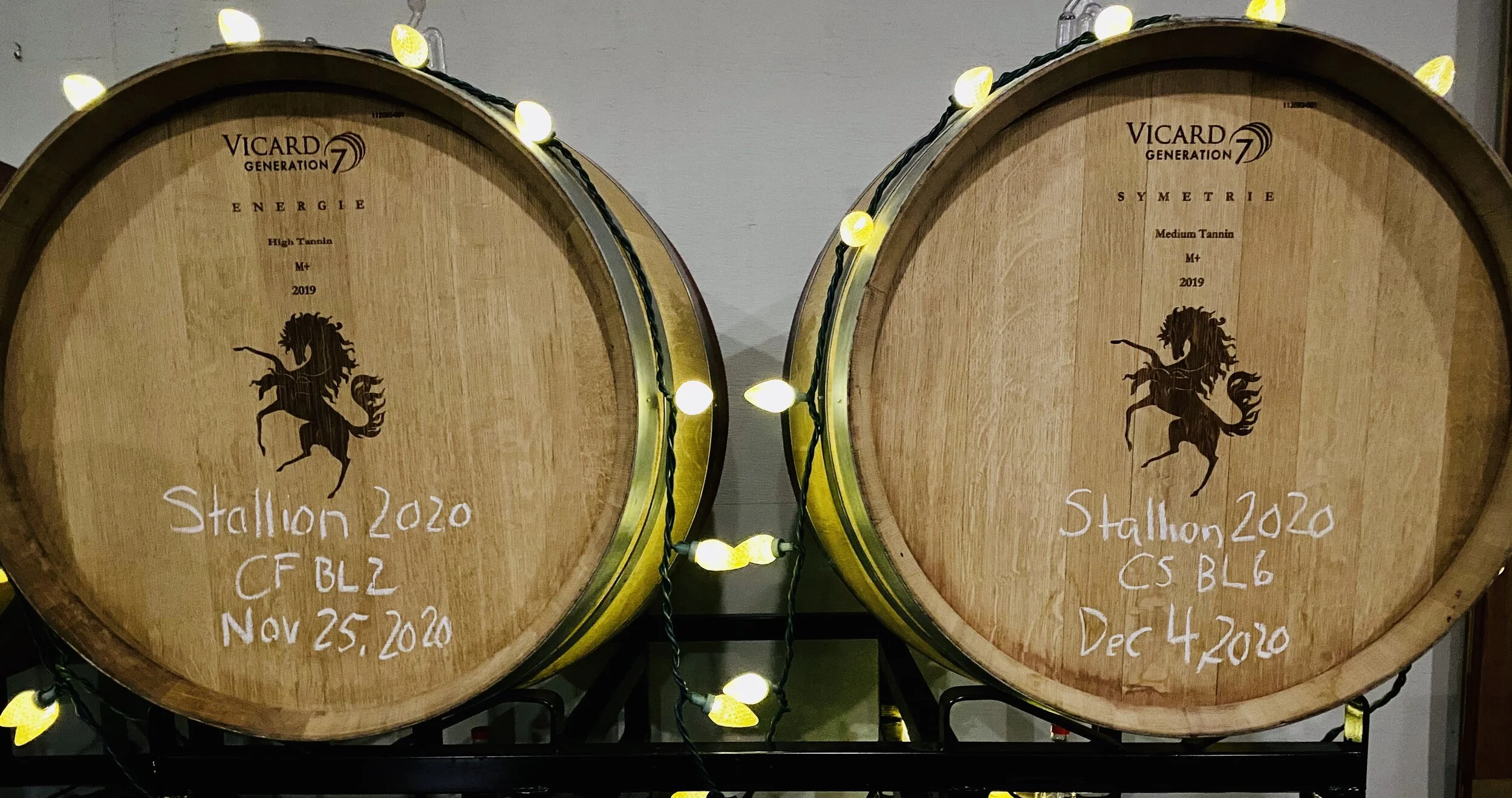 stallion barrels.jpg