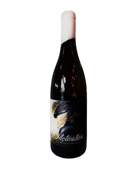 8B702618-3ADB-4D5B-BDCE-BF70794E937B