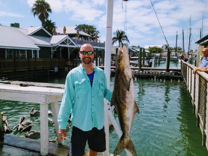 Key West winter Cobia
