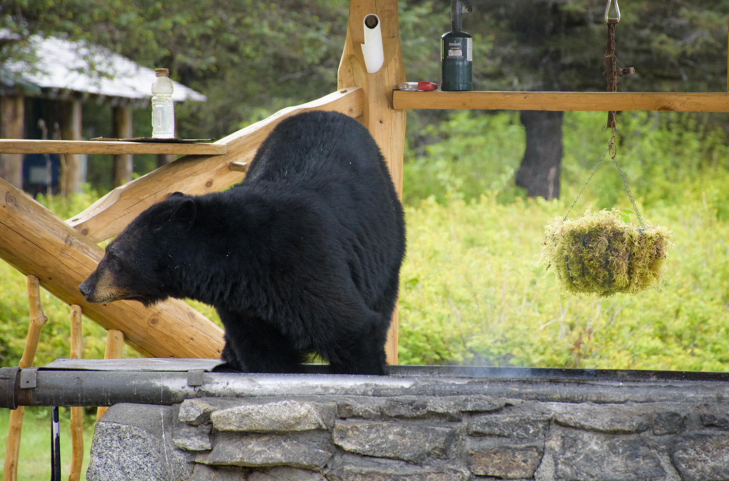 Alaska 048.jpg
