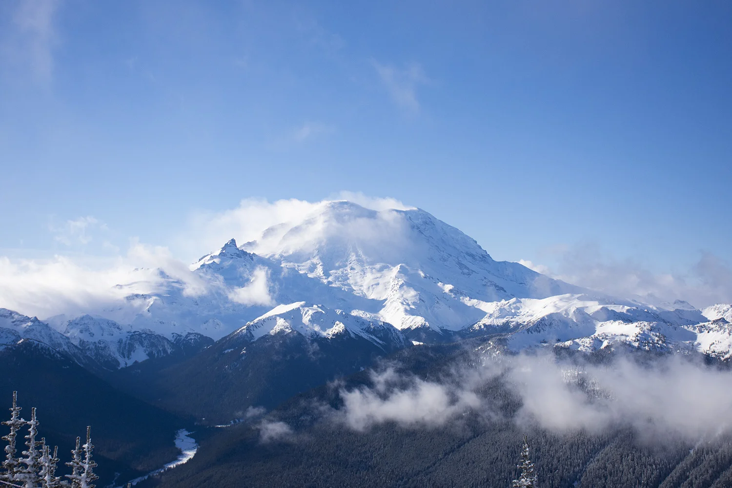 Mt Rainier 002.jpg