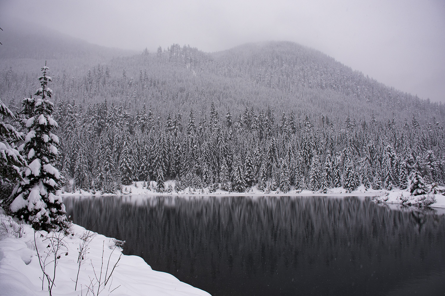 Gold Creek 002.jpg