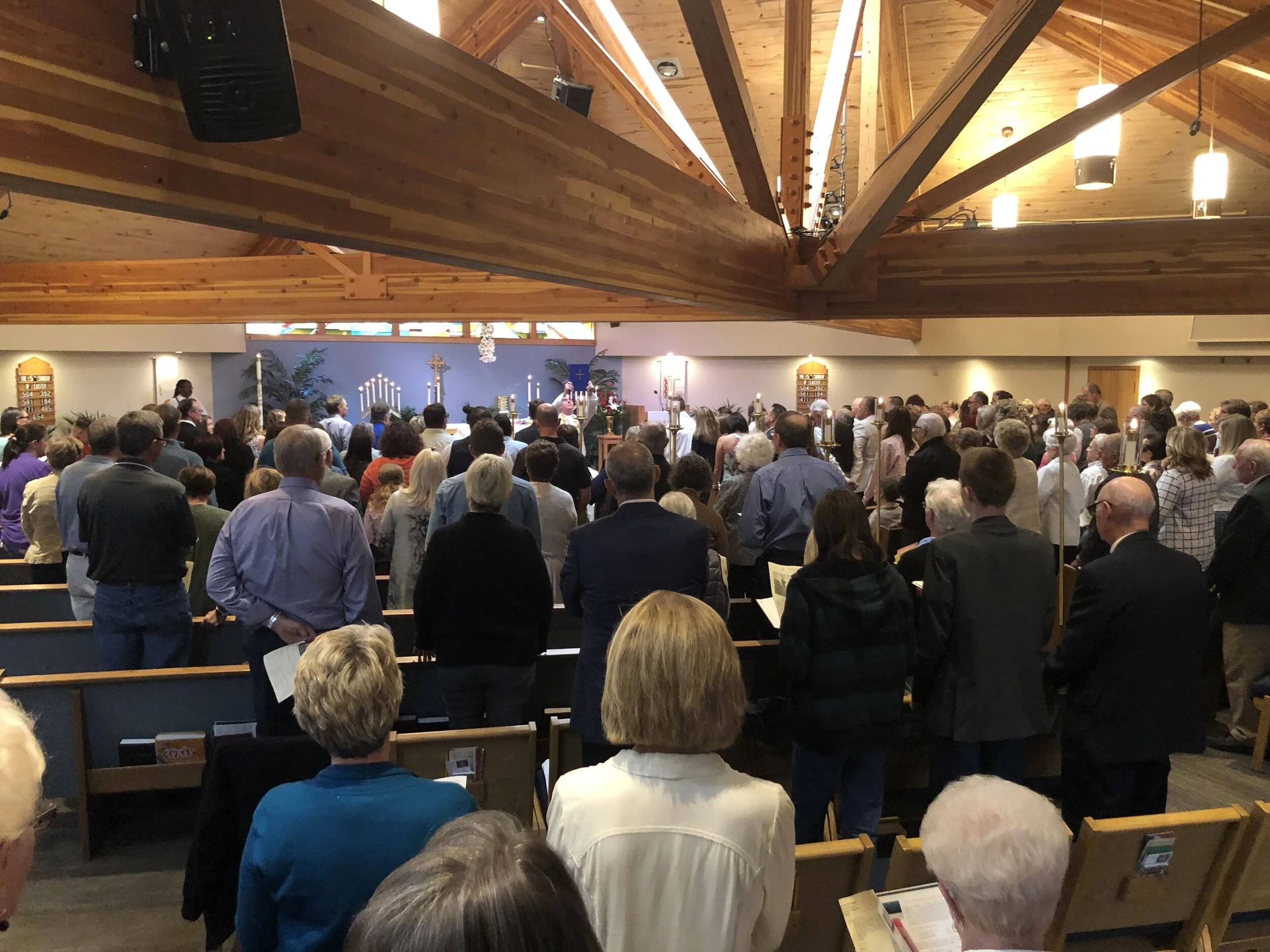 Project Goals Summary