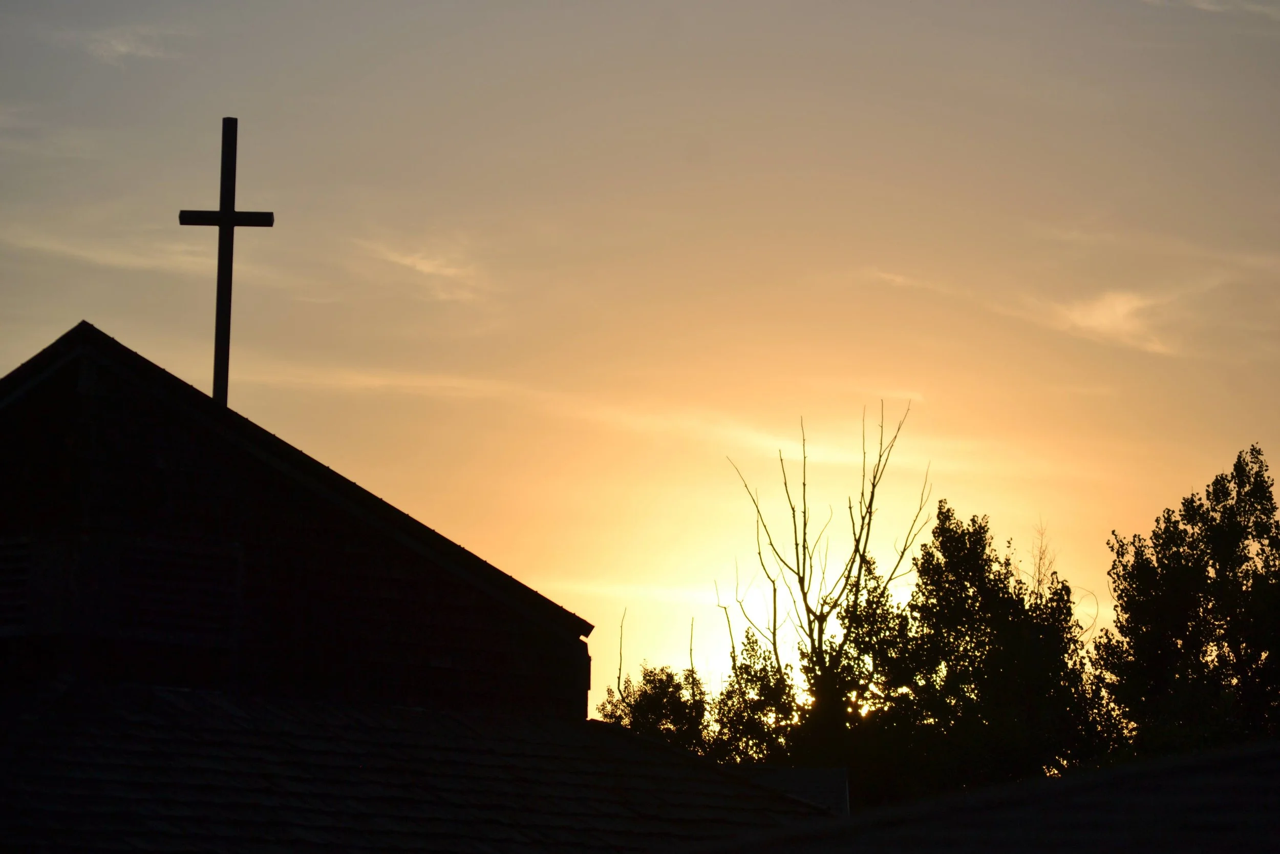 Building Design Options Discussed