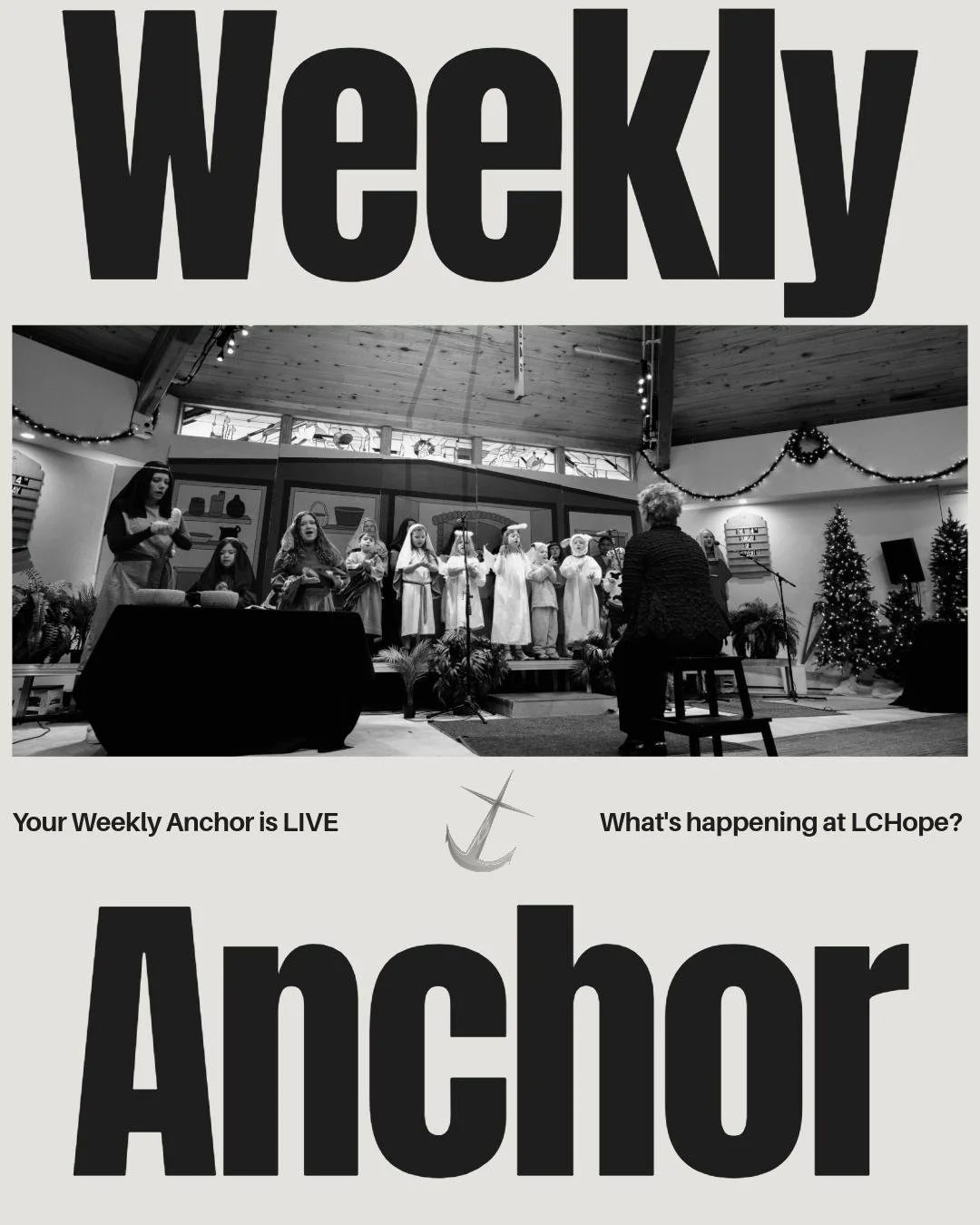The Weekly Anchor Newsletter is out! Events, updates, and ways to get involved: all in one place.
Every week we post a newsletter, don't miss out on the fun! Subscribe by using the link in our bio!