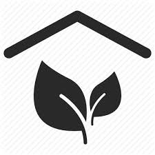 Shade plants.jpeg